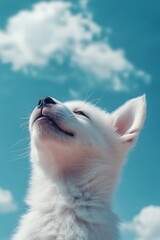 A young canine with eyes closed looks up at the atmosphere