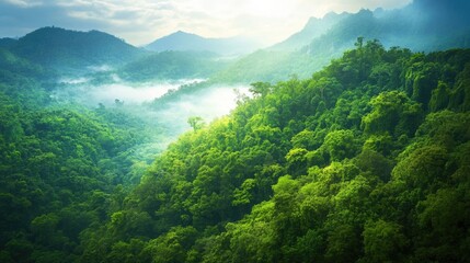 Fototapeta premium Bird's Eye View of Lush Rainforest: Aerial Perspective Over Vibrant Greenery and Hilltop Growth