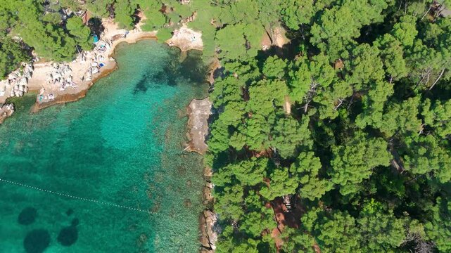 Drone view of a scenic forested beach with turquoise waters on a sunny day in Split, Croatia