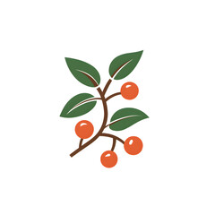 Flat Vector Design of Coffee Branch with Leaves and Berries