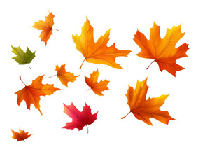 Fototapeta premium Autumnal Maple Leaves: A Vibrant Fall Design Element , isolated on white background PNG
