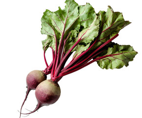 Vibrant Beetroots: A Fresh, Healthy, and Nutritious Food Choice , isolated on white background PNG