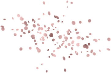 Rose Gold Metallic Confetti in the air photo overlays, confetti photo effect