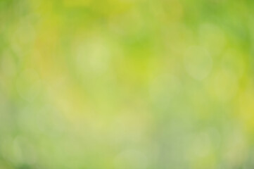 Natural background defocus light green. Blurred greenery