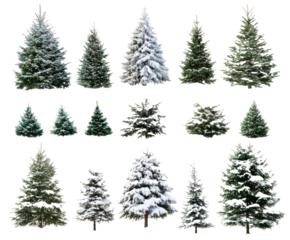 Collection of Snowy Christmas Trees for Festive Holiday Decor , isolated on white background PNG