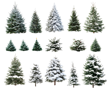 Collection of Snowy Christmas Trees for Festive Holiday Decor , isolated on white background PNG