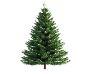Fototapeta premium Majestic Snow-Dusted Christmas Tree, Festive Holiday Decor , isolated on white background PNG