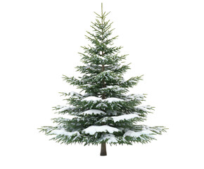 Obraz premium Majestic Snow-Covered Fir Tree - A Winter Wonderland , isolated on white background PNG