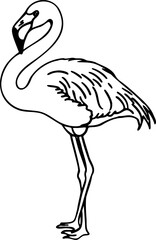 Hand Drawn Flamingo Bird Line Art