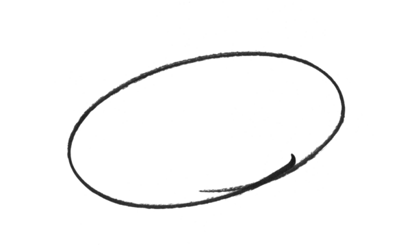 hand-drawn black circles and ovals for highlighting text.