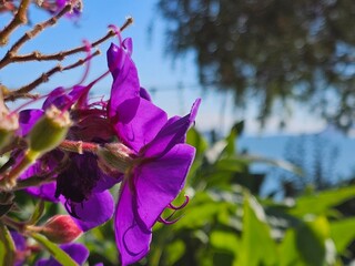 Scenes from San Francisco