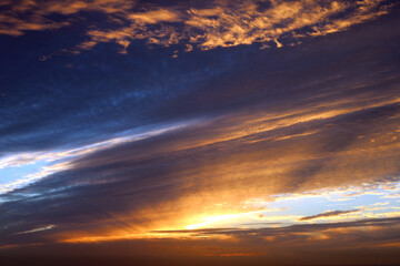 Scenes from San Francisco