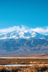 Fototapeta premium Snow-capped mountains under a clear blue sky, viewed from a dry, brushy plain