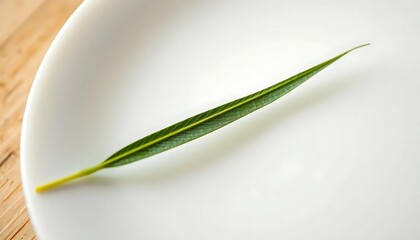 Fototapeta premium Single Green Leaf on White Plate: Minimalist Botanical Still Life