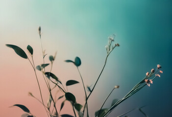 isolated flower against dreamy blurred background