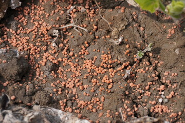 Fertilizer has been given in the agricultural field for increasing the fertility of the field