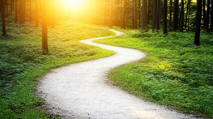 Obraz premium Serene Winding Path in Sunlit Forest Trail
