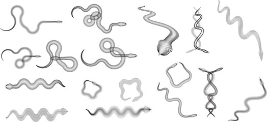 Snake logo. Chinese new year 2025 zodiac snake symbol .design elements .Abstract flow linear fluid shapes .Curved lines pattern . Vector illustration