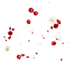 Red and White Rose Petals Overlays, Petals Clipart, Photo Effect