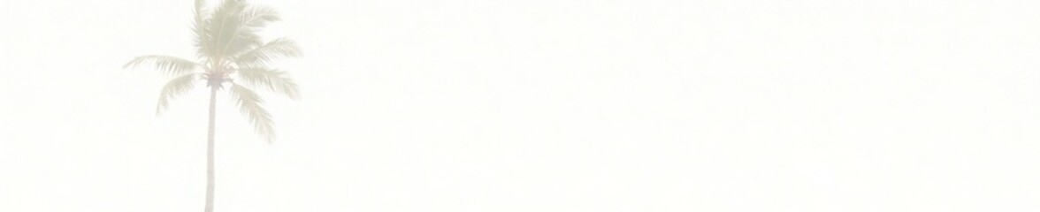 Obraz premium A single tall palm tree against a stark white backdrop, , white, palm