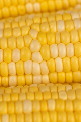 peeled corn cob with yellow and white seeds of different sizes and shades