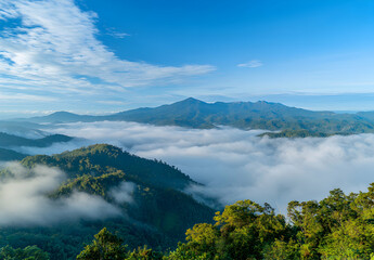 Majestic Mountaintop Panorama: A Sea of Clouds Embrace Lush Green Peaks