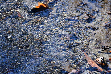 Perennial stream flowing in scenic river system