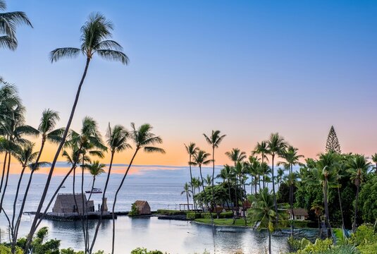 Palm trees at the beach by blue lagoon. Hawaii island. USA