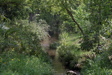 下鴨神社　奈良の小川　京都市左京区
