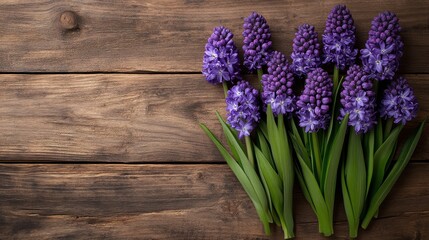 Fototapeta premium Purple hyacinth flowers on wooden background with fresh green leaves