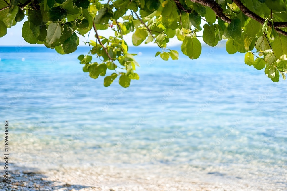 Poster peaceful beach scene with overhanging green foliage and gentle waves lapping at pebble shoreline : g