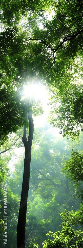 Aufkleber sunlit green forest canopy with tall trees in a serene natural environment : generative ai