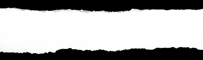 Obraz premium Torn sheet of white paper isolated