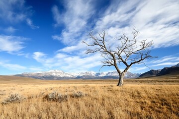 Lone Tree in Vast Grassland Under Blue Sky with Snow Capped Mountains : Generative AI
