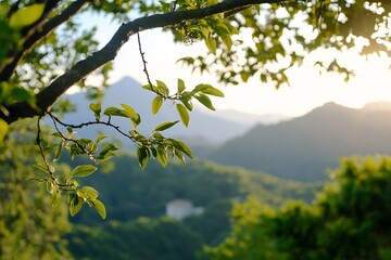Fototapeta premium Serene Mountain Landscape with Fresh Green Foliage and Morning Sunshine : Generative AI