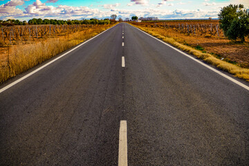 Una carretera de asfalto que guía hacia el horizonte.