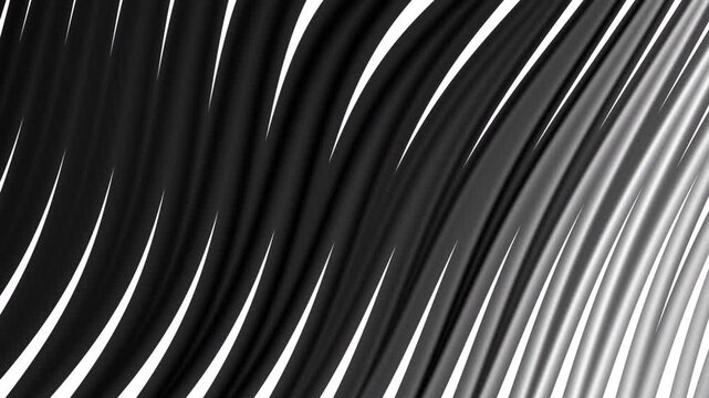 zebra background abstract. Animal fur, vector background for Fabric design, wrapping paper, textile, and wallpaper
 