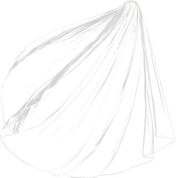 Wedding Veil Photo Overlay, White Veil Photo Effect, Veil Clipart,
