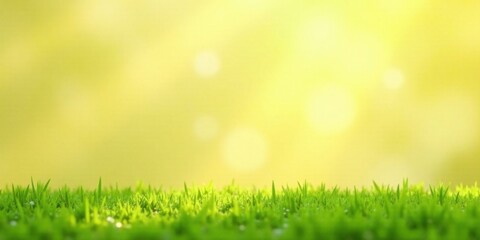 Obraz premium Vibrant Green Grass Blades in Soft Focus with a Sunny Yellow Background Ideal for Springtime Designs and Presentations
