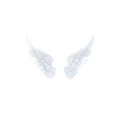 Angel Wings Clipart, Angel Wings Photo Overlays, White Wings