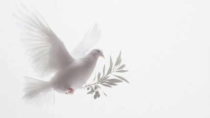 Fototapeta premium Serene white dove in flight, carrying an olive branch. Symbol of peace and hope.