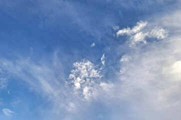 white clouds resembling flowers in the blue sky