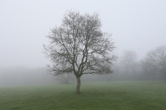 St Enda's Park, Dublin, Ireland - December 26th 2024 - A scene of Heavy Fog over a park in South Dublin, Ireland. Heavy fog covers Dublin on Saint Stephen's Day in the Irish capital city. . - Powered by Adobe