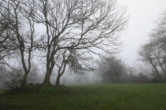 St Enda's Park, Dublin, Ireland - December 26th 2024 - A scene of Heavy Fog over a park in South Dublin, Ireland. Heavy fog covers Dublin on Saint Stephen's Day in the Irish capital city.  - Powered by Adobe