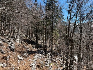 Premuzic hiking trail or Premuzic Trail - Northern Velebit National Park, Croatia or Premuzic-Wanderweg or Premuzic's Trail (Pje&scaron;ački planinarski put Premužićeva staza - NP Sjeverni Velebit, Hrvatska)