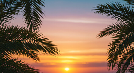 Sunset with palm fronds silhouetted against a colorful sky.