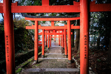 Red Torii Gate Pathway Leading Upward in Arikoyama Inari Shrine, Izushi, Japan
