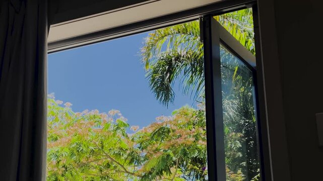 Window view of trees rustling in breeze wind in summer