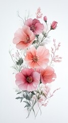 Fototapeta premium Watercolor Pink Poppies: Elegant Floral Painting