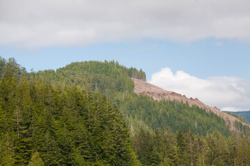 Clear cuts in the mountains in British Columbia.